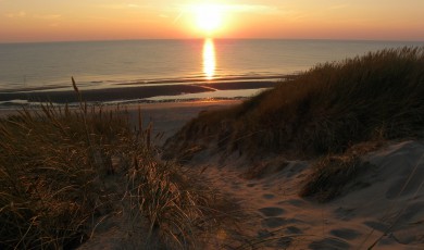 Wat is de rol van de OR bij pensioen vraagstukken?